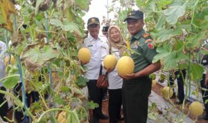 IMG_20260129_141451_(700_x_450_piksel)