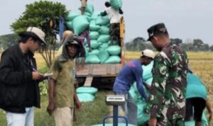 Screenshot_2026_0117_195329